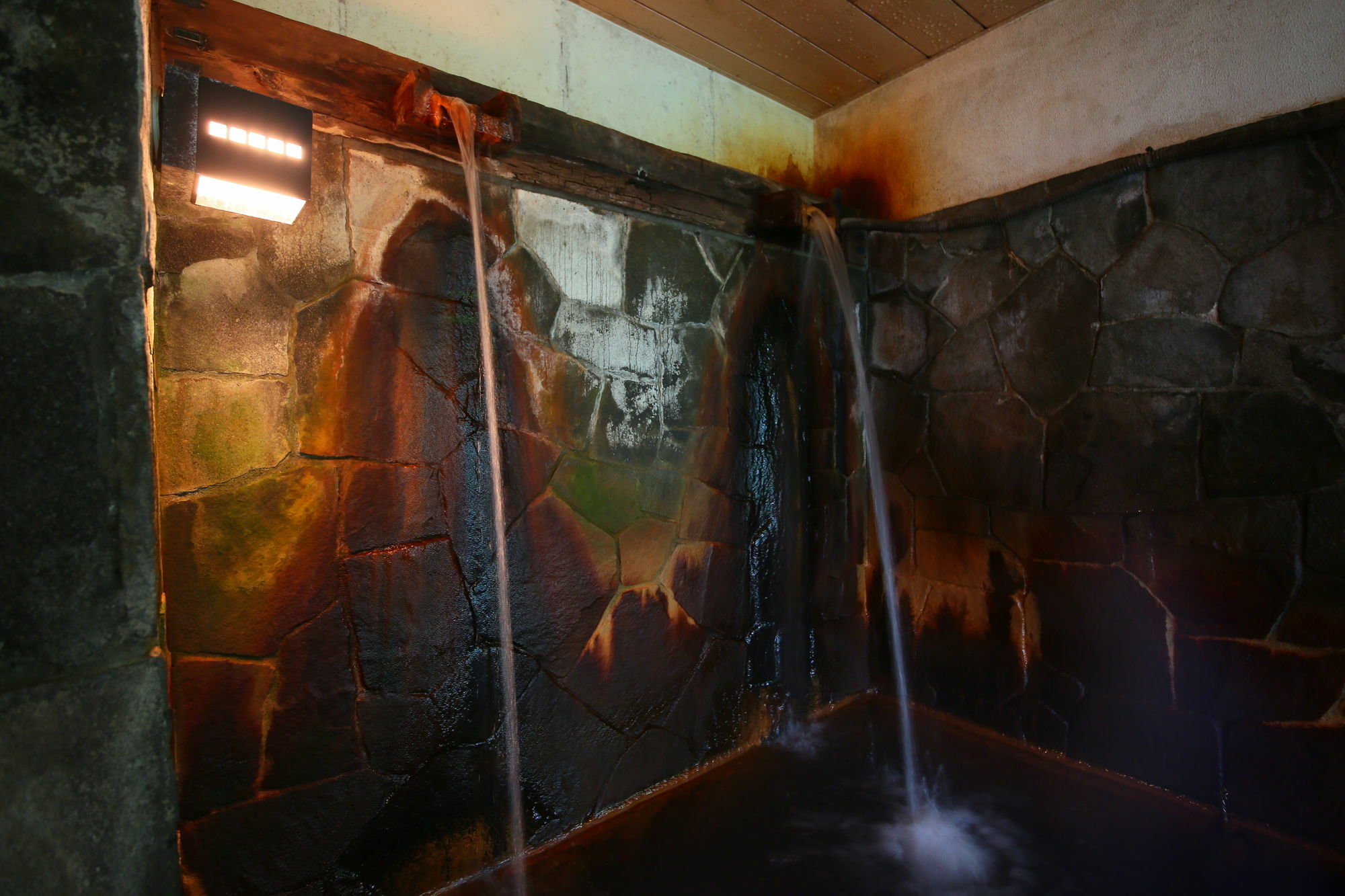 Yama No Yado Meiji Onsen Chino Exteriör bild